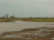 Oostvaardersplassen